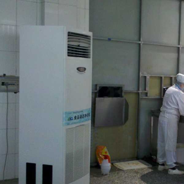 凉山食品正负离子空气杀菌器